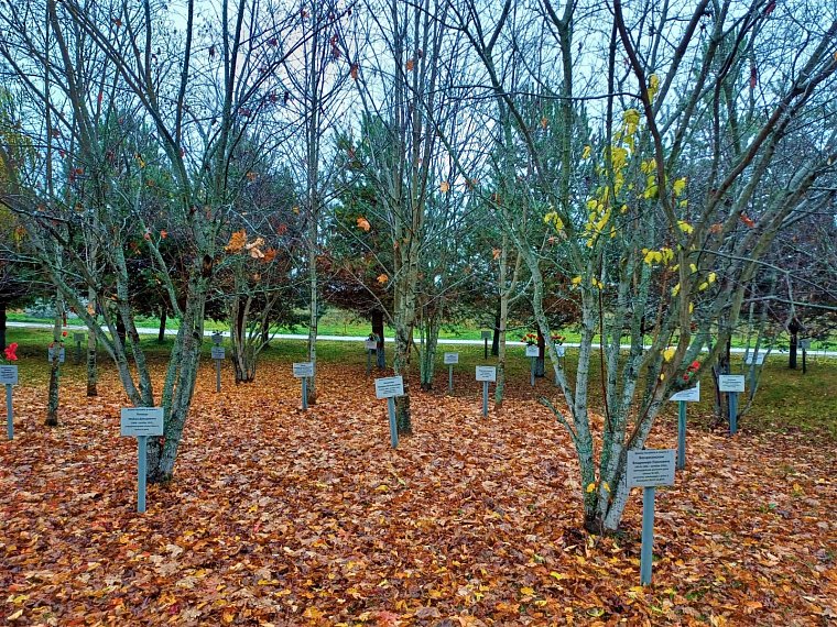 Маршрутами народного ополчения