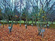 Маршрутами народного ополчения