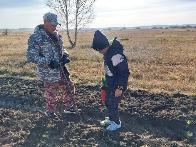 200 саженцев кедра в «Саду памяти»