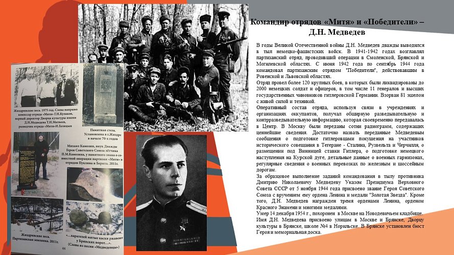 Отряды «Митя» и «Победители» Д.Н. Медведева
