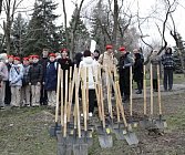 «Сад памяти» на Мамаевом кургане