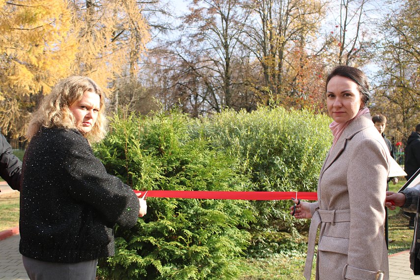 Аллею Героев открыли активисты школьного музея