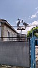 Аист, полумарофон, ромашка и безусловная любовь