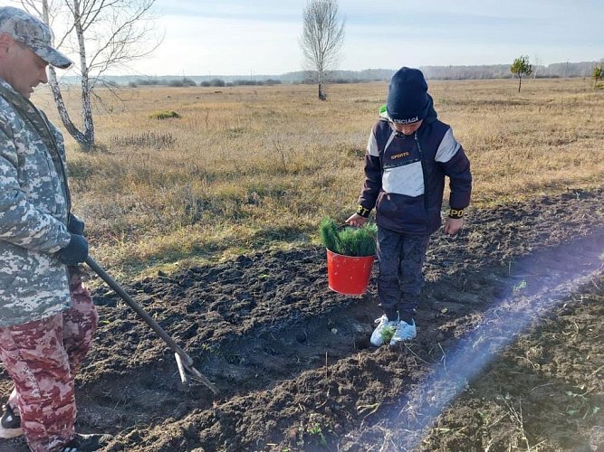 200 саженцев кедра в «Саду памяти»