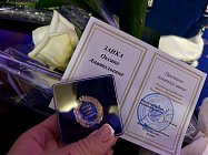 ТЕЛЕМОСТ «Город Мирный – Город Пушкин»